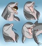  blue_eyes brown_hair cetacean digestion dolphin duo eyes_closed feral fin flippin-rad gaping_mouth grin gurgle hair human male male_pred male_prey mammal marine mouth_shot open_mouth sequence sigh simple_background size_difference smile spots swallowing teeth text throat tongue vore 