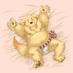  alternate_version_at_source bed bed_sheet bedding belly bulge canine clothing cusith dog fundoshi japanese_clothing male mammal navel nipples pawpads shadowwow slightly_chubby tokyo_afterschool_summoners tuft underwear 
