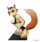  breasts canine choompi clothing erect_nipples female fox legwear mammal nipples stockings 