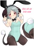  animal_humanoid blush bow_tie bunny_costume butt clothed clothing costume fake_bunny_ears female flat_chested grey_hair hair humanoid legwear mammal mouse_humanoid nazrin neko_majin pendant red_eyes rodent short_hair smile solo tail_tuft tights touhou tuft 