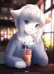  beverage blurred_background cat coat collarbone ears_down feline female grey_eyes hair inside looking_at_viewer mammal open_mouth redstoneengine solo table white_hair 