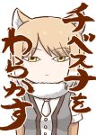  animal_ears bangs chibi closed_mouth commentary_request cover cover_page doujin_cover eyebrows_visible_through_hair fox_ears fur_collar highres kemono_friends kotobuki_(tiny_life) light_brown_hair light_smile long_sleeves looking_at_viewer multicolored_hair necktie parted_bangs short_hair short_over_long_sleeves short_sleeves solo tibetan_sand_fox_(kemono_friends) tsurime two-tone_hair upper_body vest white_hair yellow_eyes 