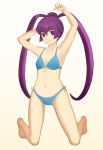  ar_tonelico ar_tonelico_iii breasts cleavage commentary_request finnel long_hair poppopoppo purple_eyes purple_hair smile solo swimsuit twintails 