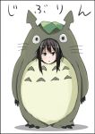  black_border black_hair border character_name commentary_request costume earrings full_body green_eyes grey_fur idolmaster idolmaster_cinderella_girls jewelry looking_at_viewer pun shibuya_rin simple_background solo standing studio_ghibli totoro translated whiskers white_background yunodon_(sugar_maple) 