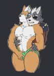  anthro canine clothed clothing duo fox fox_mccloud fully_clothed grope jockstrap male male/male mammal muscular muscular_male nintendo nipples nude star_fox summercometz underwear video_games wolf wolf_o&#039;donnell 
