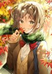  :d autumn_leaves bag bangs blurry blurry_background bow bowtie brown_jacket commentary_request dappled_sunlight day depth_of_field eyebrows_visible_through_hair falling_leaves fingernails fringe_trim green_scarf grin h_shai hand_up holding holding_leaf jacket leaf lens_flare long_sleeves maple_leaf medium_hair open_clothes open_jacket open_mouth original outdoors parted_bangs plaid plaid_scarf red_bow red_neckwear scarf school_uniform shiny shiny_hair shirt shoulder_bag sleeves_past_wrists smile solo sparkle sunlight teeth upper_body white_shirt yellow_eyes 