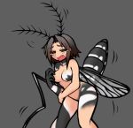  2016 abdomen antennae anthro arthropod bite brown_hair clothing crying fangs female hair hikagenootimsya human insect mammal mosquito open_mouth panties red_eyes sequence simple_background solo tears transformation underwear wings 