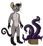  box hornbuckle male mammal mouse rodent solo tentacles 