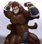  anthro audiophilliac barazoku clothing dragon_ball erection flexing male mammal monkey muscular oozaru penis primate underwear 