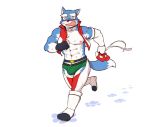  abs andrew_saitou anthro biceps blue_fur canine clothed clothing cotton_(artist) fur gloves hero_dekirumon male mammal mask mighty_blue multicolored_fur muscular muscular_male nipples pecs wolf 