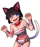  :d animal_ears bandaged_arm bandaged_head bandages bare_shoulders black_hair blood blood_stain blue_eyes breasts cat_ears cat_tail chocolate_(rabi_ribi) choker claw_pose cleavage error eyebrows_visible_through_hair eyes_visible_through_hair fang flower hair_flower hair_ornament halloween halloween_costume hands_up looking_at_viewer medium_breasts midriff mummy_costume navel one_eye_covered open_mouth pumpkin rabi-ribi red_choker short_hair smile solo speckticuls tail transparent_background 