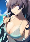  bangs bare_shoulders black_hair blue_sky breasts cleavage cloud cloudy_sky collarbone commentary day english_commentary highres honkai_impact horizon large_breasts long_hair looking_at_viewer outdoors purple_eyes raiden_mei sky smile solo translucent_hair upper_body very_long_hair vic 