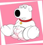  brian_griffin briefs bulge butt butt_pose canine clothing collar dog family_guy looking_down male mammal sitting solo underwear 