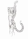  0laffson 2017 5_fingers anthro feline fur leopard male mammal nude simple_background sketch solo spots spotted_fur standing traditional_media_(artwork) white_background 