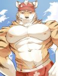  2018 abs anthro biceps chung0_0 clothing digital_media_(artwork) feline fur male mammal muscular muscular_male nipples pecs stripes swimsuit tiger 