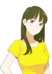  black_eyes blush breasts brown_hair long_hair looking_at_viewer medium_breasts onee-san_(penguin_highway) penguin_highway pre3445 shirt simple_background smile solo upper_body white_background yellow_shirt 