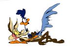  ishoka looney_tunes roadrunner tagme wile_e_coyote 