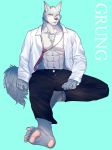  2018 abs anthro black_nose canine chest_tuft clothed clothing digital_media_(artwork) fur grung hi_res male mammal muscular muscular_male necktie nipples open_shirt pants pecs tuft 