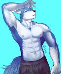  2018 abs anthro biceps black_nose canine digital_media_(artwork) fur grung hi_res male mammal muscular muscular_male nipples pecs wolf 