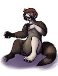  2018 anthro black_fur claws delight digital_drawing_(artwork) digital_media_(artwork) fur fur_growth hair hi_res human human_to_anthro invalid_tag male mammal multicolored_fur naughtygryph nude open_mouth procyonid raccoon simple_background sitting solo species_transformation stripes surprise teeth toe_claws tongue transformation white_fur 