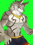  2018 abs anthro black_nose canine claws clothed clothing fur green_eyes grung hi_res male mammal muscular piercing seth_(tas) swimsuit tokyo_afterschool_summoners topless 