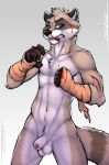  5_fingers anthro balls bandage blood foreskin male mammal nude penis procyonid raccoon simple_background solo standing tsaiwolf 