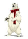  2018 anthro bear clothing fur furrybob hair long_hair male mammal overweight overweight_male polar_bear scarf simple_background white_background white_fur 