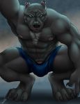  anthro bakameganekko balls bare_chested biceps black_nose canine claws clothed clothing dog ear_piercing fur looking_at_viewer male mammal muscular muscular_male nipples penis piercing pit_bull shorts simple_background smile solo topless 