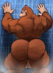  against_wall anthro ape balls barazoku biceps big_butt blush bubble_butt butt donkey_kong_(character) donkey_kong_(series) fur gorilla looking_at_viewer looking_back male mammal manly muscular nintendo nude primate shower solo standing thick_thighs triceps uniparasite video_games wet 