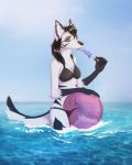  2018 5_fingers ally_white_(character) anthro ball bikini black_hair black_markings black_nose breasts brown_eyes canine clothed clothing dessert digital_media_(artwork) ear_piercing female food fox fur gloves_(marking) hair ice_cream kamikay mammal marble_fox markings multicolored_fur piercing sky swimsuit water white_fur 