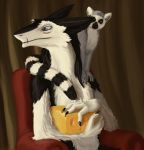  cheese feral food lemur lemurlemurovich mammal primate sergal 