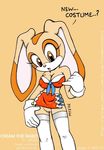  cream_the_rabbit sonic_team tagme vkyrie 