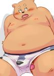  2018 anthro belly blush brown_fur bulge clothing fur male mammal moobs navel nipples overweight overweight_male penis simple_background sitting solo totemoii_029 underwear ursine white_background 