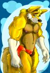  bulge canine clothing male mammal muscular small_(disambiguation) speedo sph swimsuit wolf zotter 