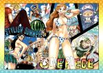  bikini brook franky monkey_d_luffy nami nico_robin oda_eiichirou one_piece roronoa_zoro sanji summer swimsuit tony_tony_chopper usopp 