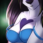  alestra black_hair black_nose blue_topwear bra breasts cat cleavage clothed clothing feline female fur hair mammal smile solo underwear white_fur wolflady 