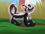  animate_inanimate aura balloon_animal feral firr inanimate_transformation kitsunekit living_inflatable mammal mephitid outside skunk transformation what 