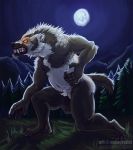  amber_eyes anthro badger balls black_fur detailed_background flaccid full_moon fur glowing glowing_eyes humanoid_penis male mammal mongrelist moon mustelid night nude outside penis sharp_teeth snarling solo teeth tree were werebadger white_fur yellow_eyes 