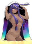  animal_ears armpits arms_up bangs blanket blush breasts closed_mouth collarbone commentary_request dark_skin dated earrings eyebrows_visible_through_hair facepaint facial_mark fate/grand_order fate_(series) hair_between_eyes hair_tubes happa_(cloverppd) hips hoop_earrings jackal_ears jewelry large_breasts long_hair looking_at_viewer navel nitocris_(fate/grand_order) nude purple_eyes purple_hair sidelocks simple_background solo space star_(sky) thighs very_long_hair wading white_background 
