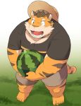  2017 anthro ayame42612 clothing feline food fruit hat humanoid_hands male mammal melon one_eye_closed shirt shorts slightly_chubby solo straw_hat tiger watermelon wink 