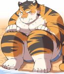  anthro ayame42612 beach blush clothing feline humanoid_hands male mammal moobs overweight overweight_male seaside sitting solo swimsuit tiger water 
