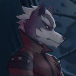  anthro brown_eyes canine close-up clothed clothing dilukha fur hair male mammal nintendo portrait solo spikes star_fox starlink:_battle_for_atlas video_games wolf wolf_o&#039;donnell 