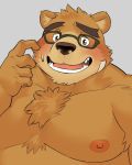  2018 anthro bear belly blush brown_fur eyewear fur glasses humanoid_hands male mammal moobs nipples oak oaks16 overweight overweight_male simple_background solo tokyo_afterschool_summoners volos 