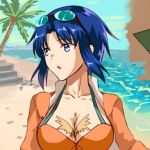  axia-chan bikini bikini_under_clothes blue_eyes blue_hair breasts ciel cleavage eyewear_on_head looking_to_the_side lowres ocean palm_tree short_hair sidelocks solo swimsuit tree tsukihime upper_body water 