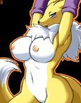  blue_eyes breasts digimon e! fox furry inverted_nipples navel nipples renamon smile tail 