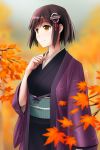  alternate_costume autumn_leaves black_hair black_kimono breasts brown_eyes forest haguro_(kantai_collection) hair_ornament hairclip highres jacket japanese_clothes kantai_collection kimono leaf long_sleeves looking_away maple_leaf medium_breasts nature obi outdoors purple_jacket sash short_hair solo tomoyo_kai tree wide_sleeves 