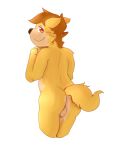  alpha_channel anthro backsack balls brown_eyes brown_fur butt canine dog fur looking_back male mammal simple_background solo standing transparent_background wulfanite 
