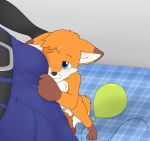  age_difference anthro balloon balls blue_eyes blush bulge canine child circumcised cub duo fox fur kennykitsune kitshokit male male/male mammal orange_fur penis shy young 