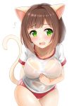  animal_ears blush breasts brown_hair buruma cat_ears cat_girl cat_tail collarbone commentary_request double_vertical_stripe fang green_eyes gym_shirt highres idolmaster idolmaster_cinderella_girls kibihimi large_breasts maekawa_miku open_mouth red_buruma see-through shirt short_hair short_sleeves simple_background solo tail tail_raised thigh_gap wet wet_clothes wet_shirt white_background 