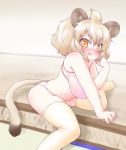  :d animal_ears blonde_hair blush bra commentary eyebrows_visible_through_hair fang highres kemono_friends lion_(kemono_friends) lion_ears lion_tail looking_at_viewer nose_blush open_mouth panties pink_bra sitting smile solo tail thighhighs uho_(uhoyoshi-o) underwear underwear_only yellow_eyes yellow_legwear 